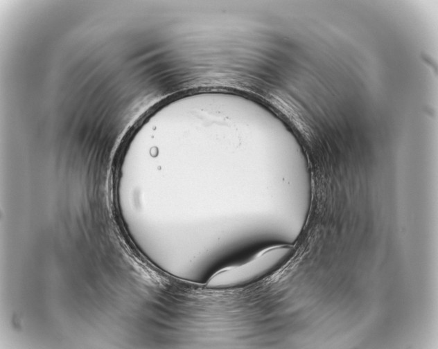 X0000093361076200711081509
