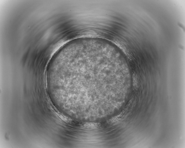 X0000093361078200711081509