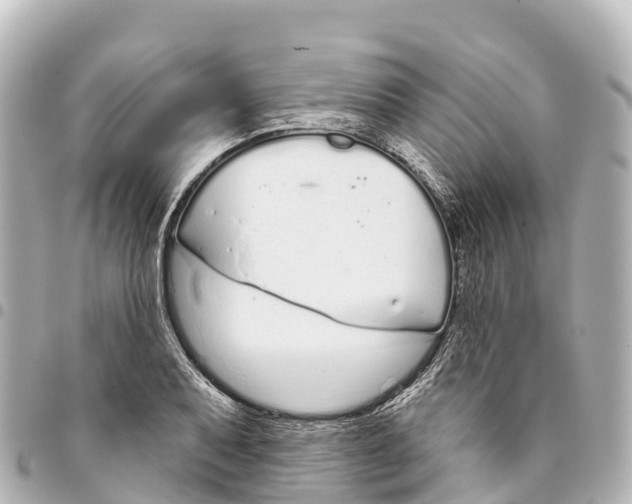 X0000093361079200711081509