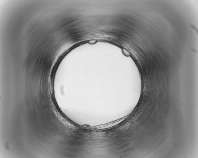 X0000093361080200711081509