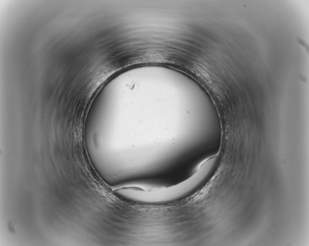 X0000093361081200711081509