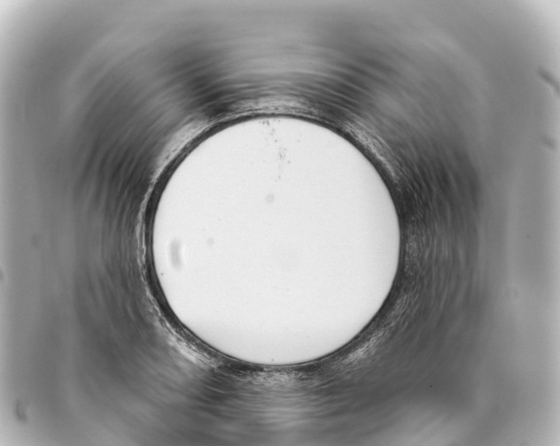 X0000093361082200711081509