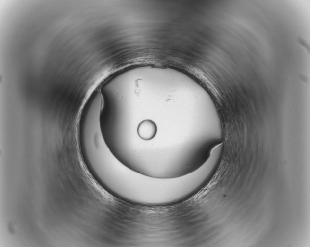 X0000093361083200711081509
