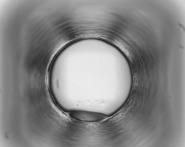 X0000093361084200711081509