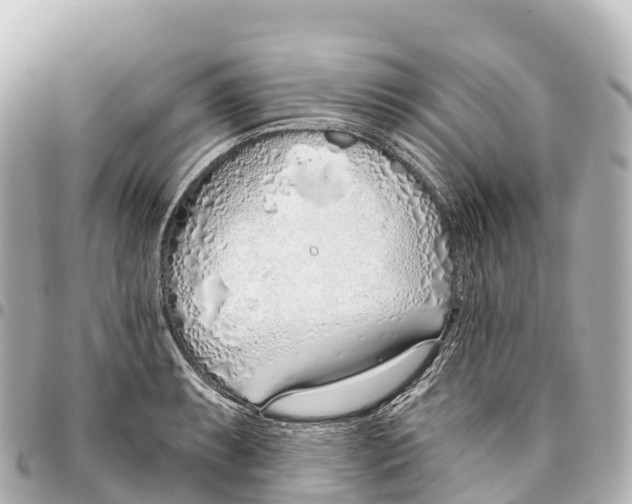 X0000093361087200711081509