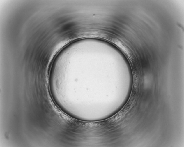 X0000093361088200711081509