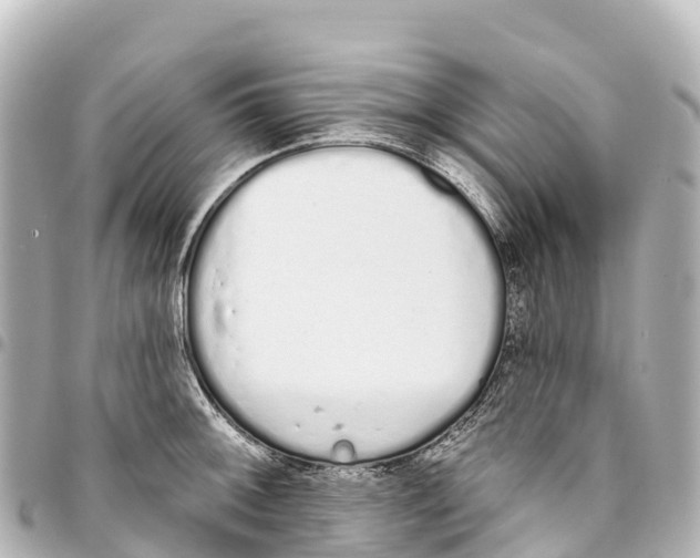 X0000093361092200711081509