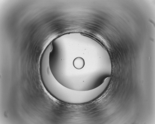 X0000093361095200711081509