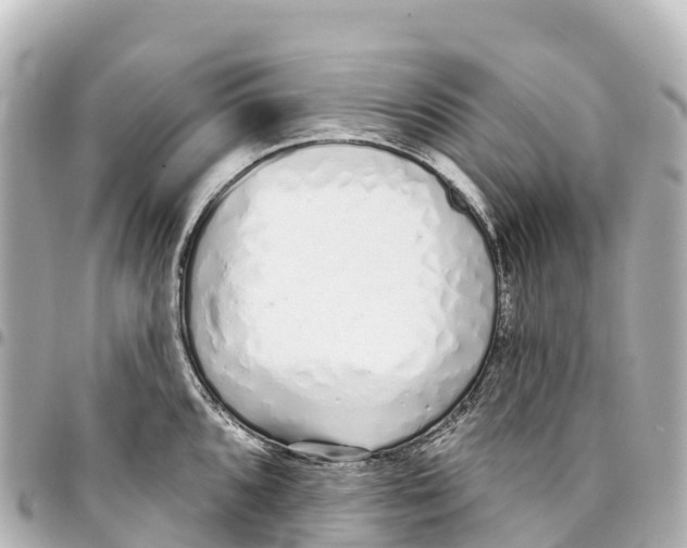 X0000093361096200711081509