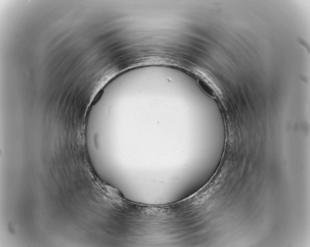 X0000093361097200711081509