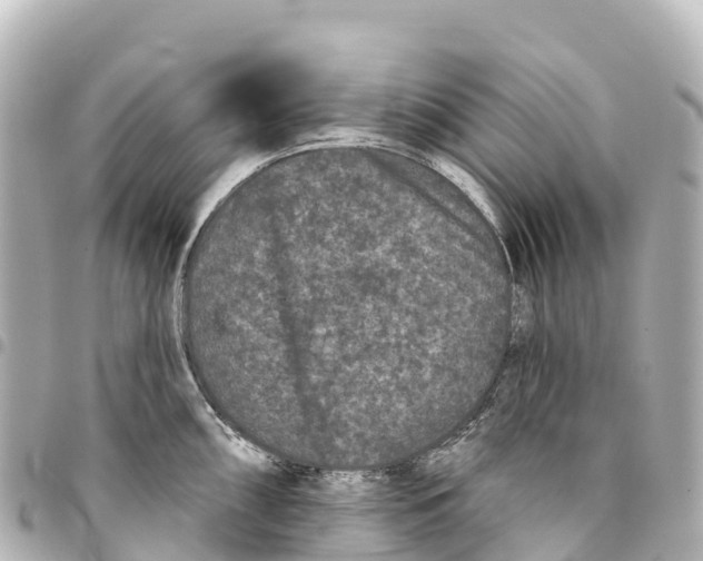 X0000093361098200711081509