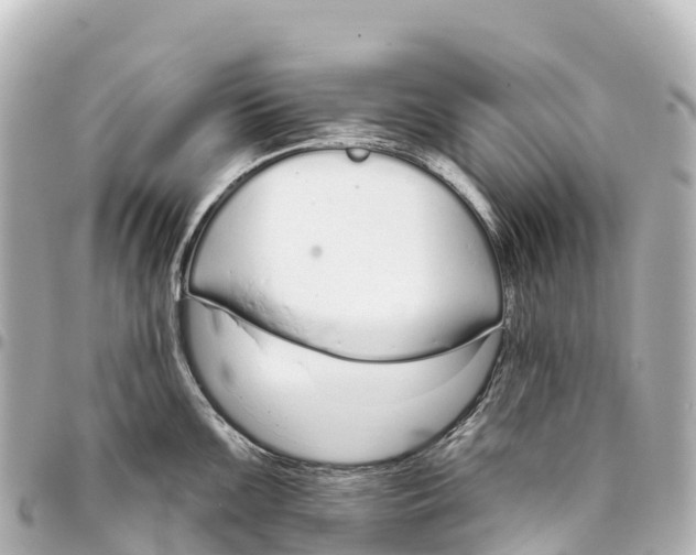 X0000093361099200711081509