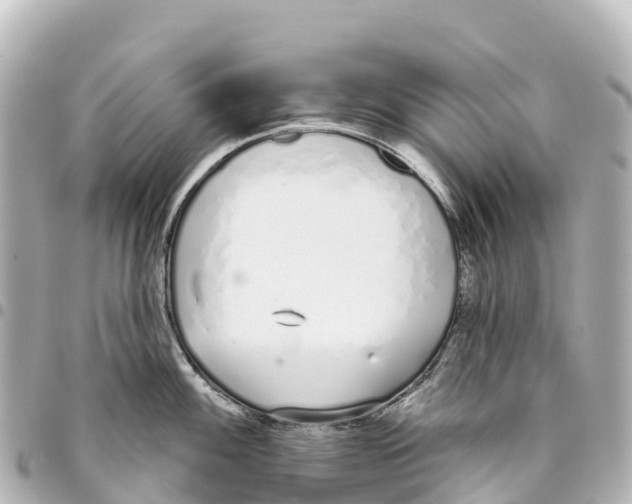 X0000093361100200711081509