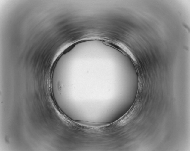 X0000093361101200711081509