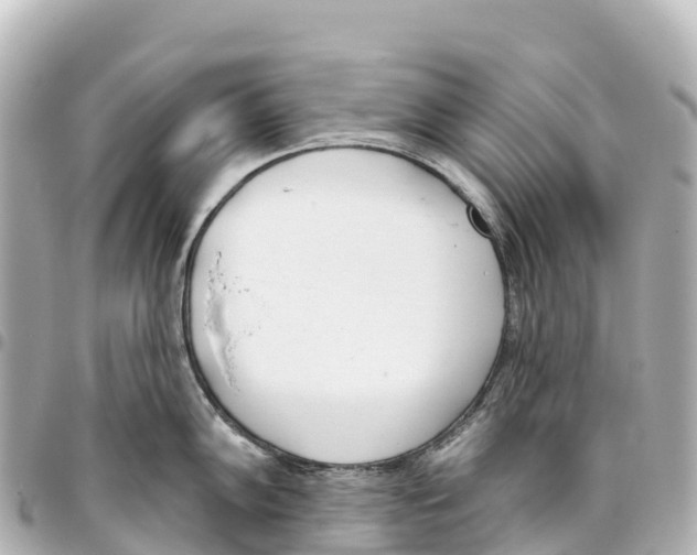 X0000093361102200711081509
