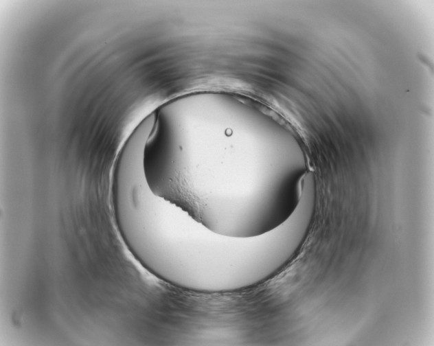 X0000093361103200711081509