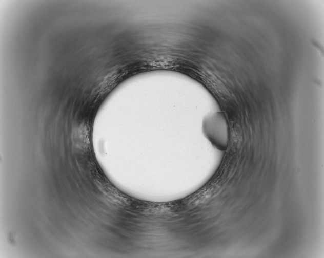 X0000093361106200711081508