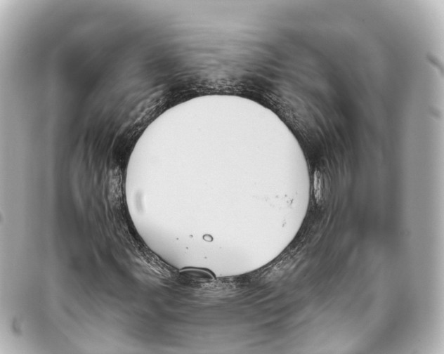 X0000093361107200711081508