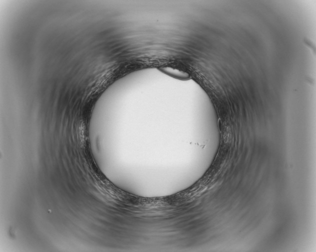 X0000093361108200711081508