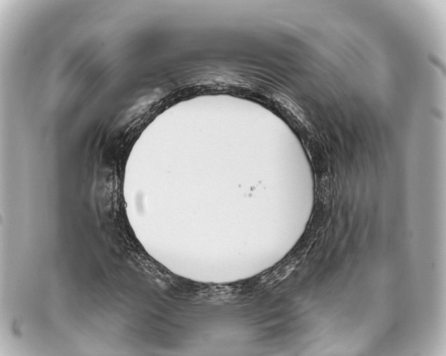 X0000093361111200711081508