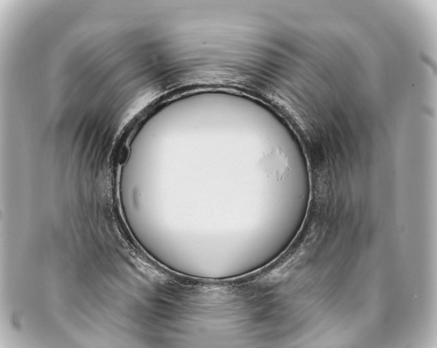 X0000093361114200711081509