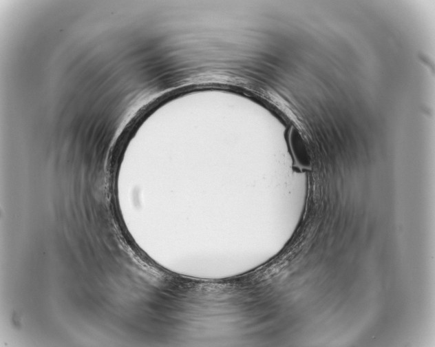 X0000093361116200711081509