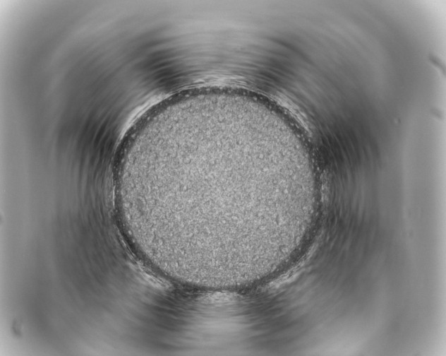 X0000093361117200711081509