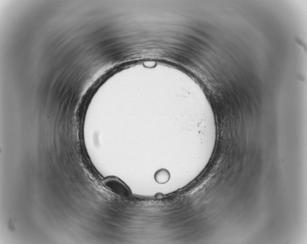X0000093361118200711081509