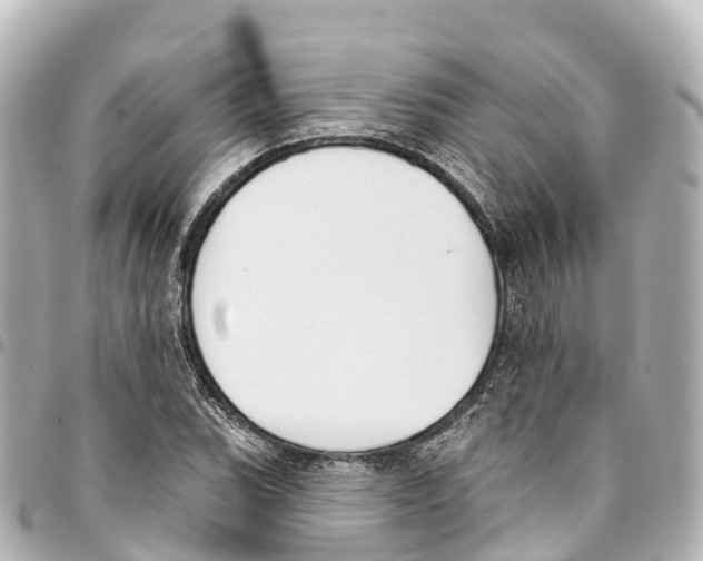 X0000093361119200711081509