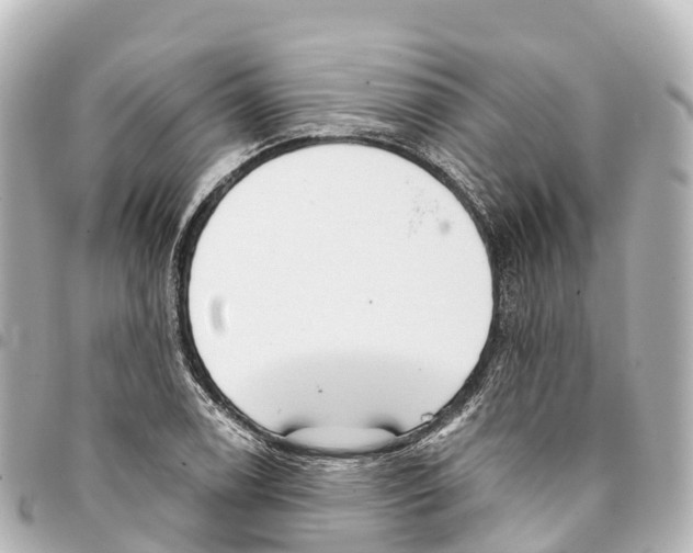 X0000093361122200711081509