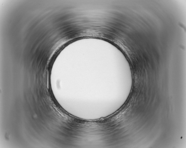 X0000093361123200711081509