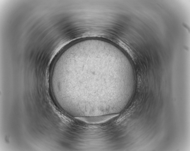 X0000093361124200711081509