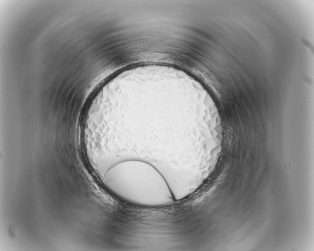 X0000093361125200711081509