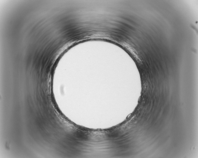 X0000093361126200711081509