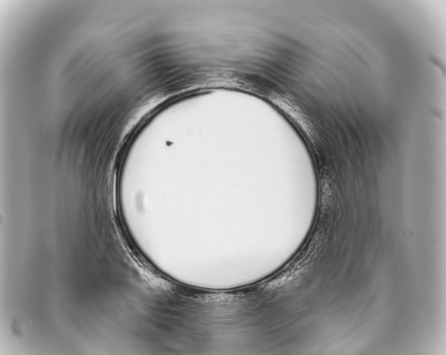 X0000093361127200711081509