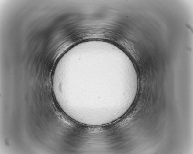 X0000093361129200711081509