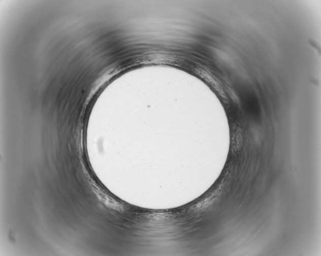 X0000093361130200711081509