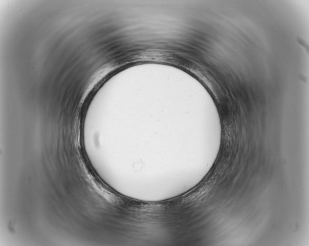 X0000093361131200711081509