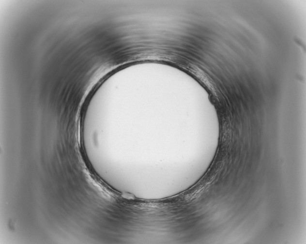X0000093361132200711081509