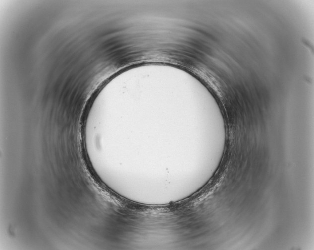 X0000093361133200711081509