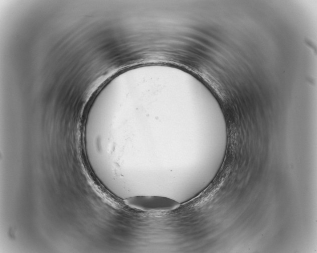 X0000093361134200711081509