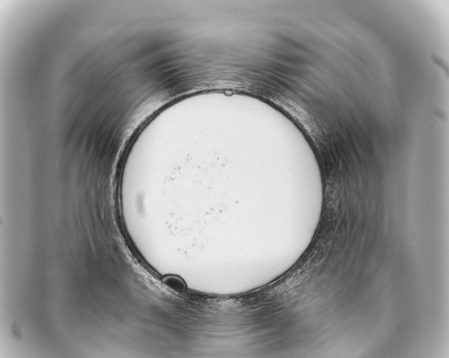 X0000093361135200711081509