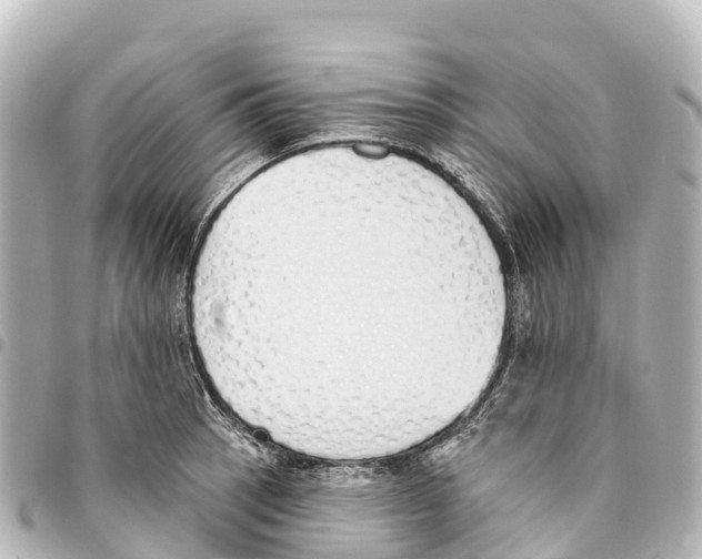 X0000093361137200711081509