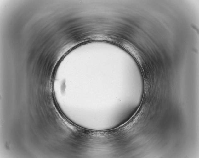 X0000093361141200711081509