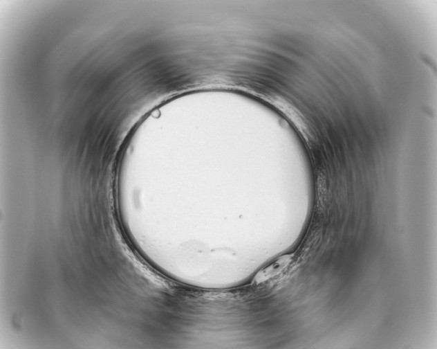 X0000093361142200711081509
