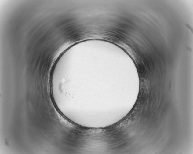 X0000093361143200711081509