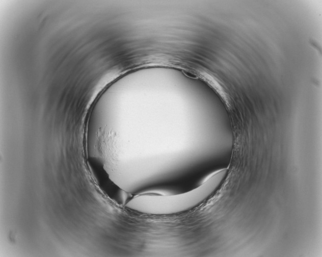 X0000093361146200711081509