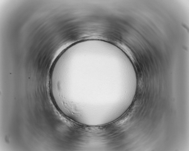 X0000093361149200711081509