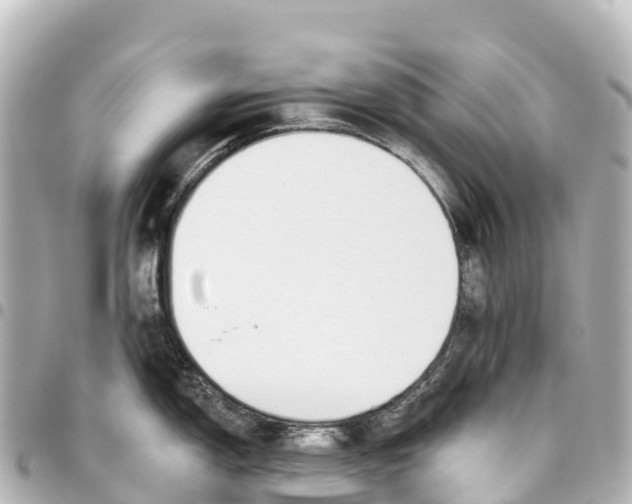 X0000093361150200711081509