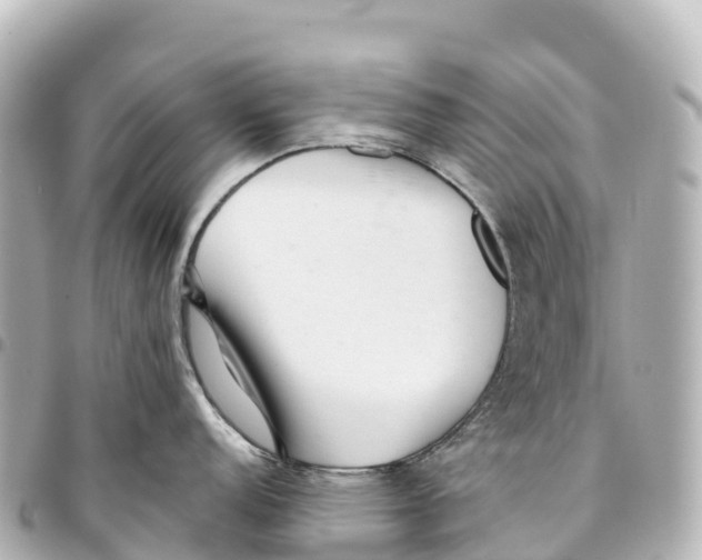X0000093361152200711081509